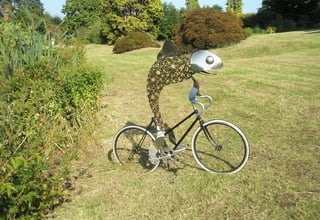 -Fish_on_a_bicycle-_-_geograph.org.uk_-_943209-948334-edited.jpg